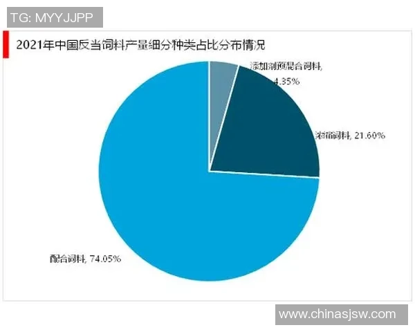 武汉网球队转型之路的挑战与机遇全景观察 武汉网球队转型之路的挑战与机遇全景观察