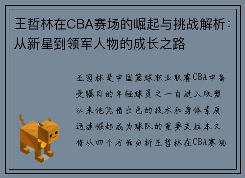 王哲林在CBA赛场的崛起与挑战解析：从新星到领军人物的成长之路
